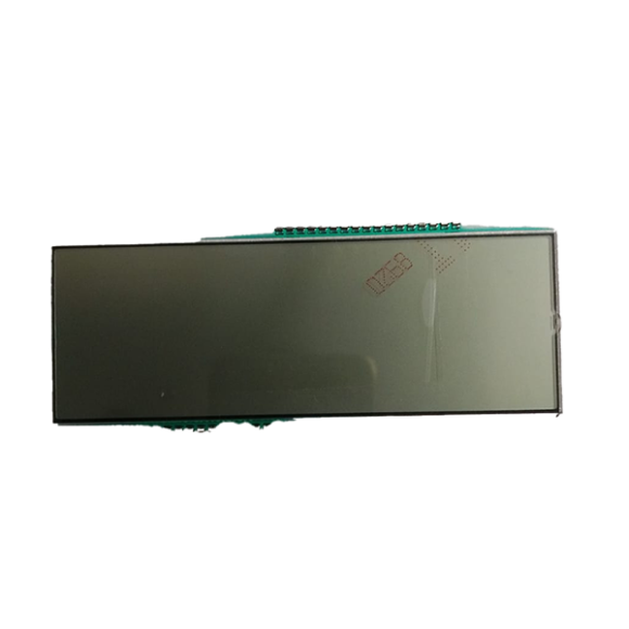 FZ V2 speedometer display